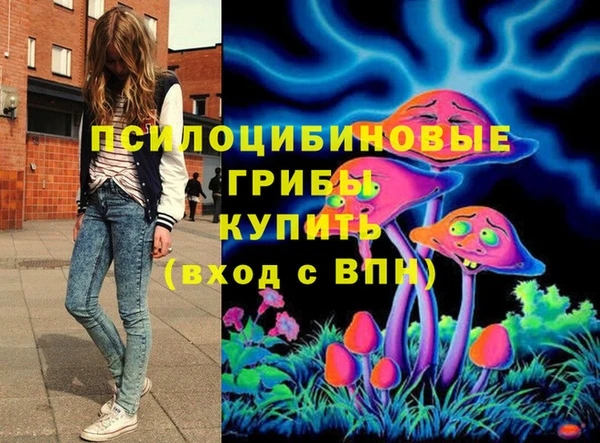 твердый Аркадак