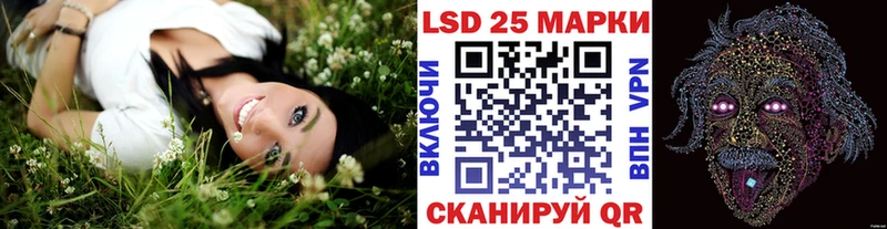 где найти наркотики  Светлогорск  Наркотические марки 1500мкг 